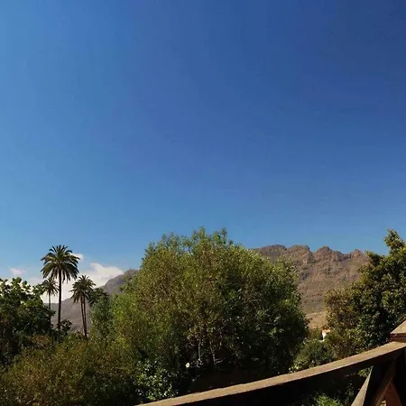 El Olivar - El Orujo Santa Lucia