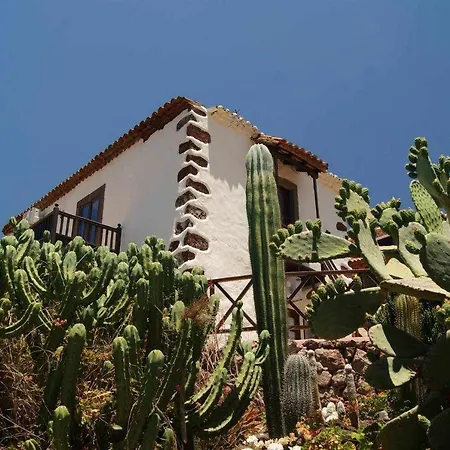 El Olivar - El Orujo Tatil Evi Santa Lucia